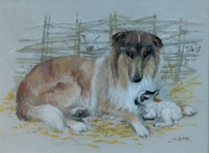 'A Collie with a Lamb' by Mabel Gear