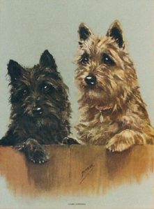 'Cairn Terriers' by Mabel Gear