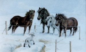 'Four Ponies looking at a Lamb' by Mabel Gear