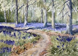 Bluebells, Whippendell Woods, 2020