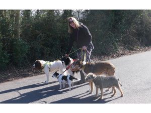 Commended - Dog walker by John McCormack