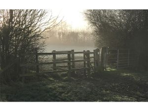 Mist on Merry Hill by John McCormack