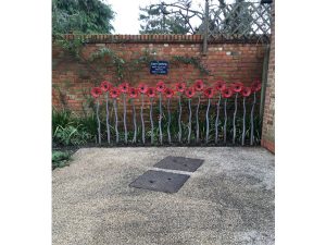 Poppies, Bushey Rose Garden by Annie Cooper