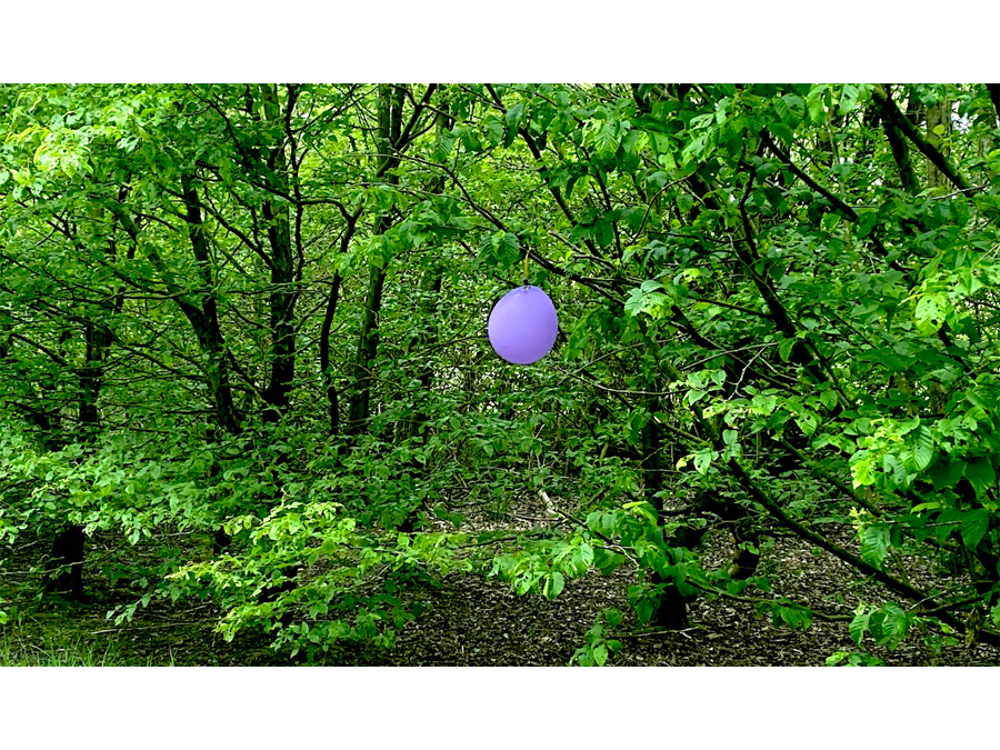 Purple balloon on Merry Hill by Andrew Hextall