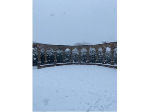 Rose Garden in the snow 2021-2 by Tracy Harrison