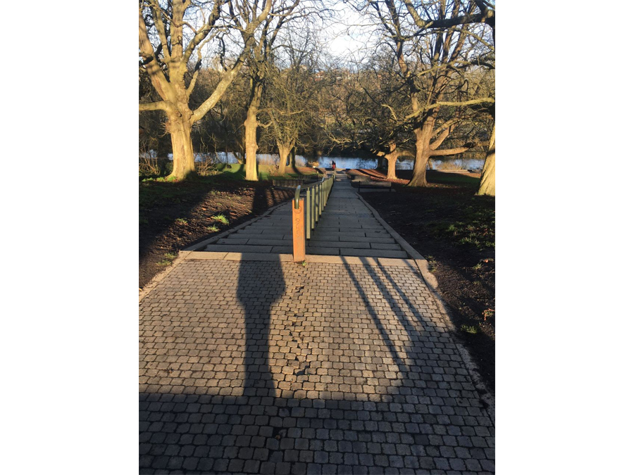 Shadows, Oxhey Park Steps by Annie Cooper