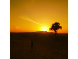 Sunset in The Sinai Desert by Nick Edgeworth