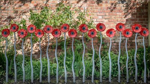 Highly Commended, Cycle Rack, Bushey Rose Garden by Bill Cooper