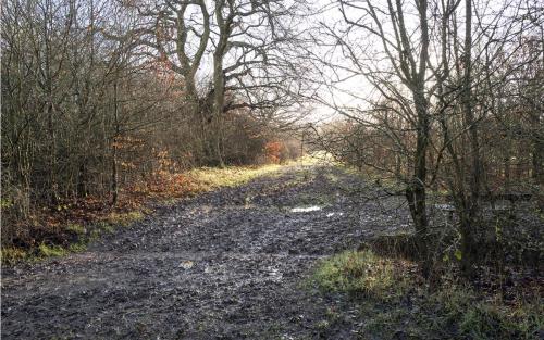 Merry Hill -Mudscape by John McCormack