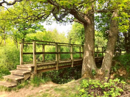 Merry Hill bridge by Louise Lingwood