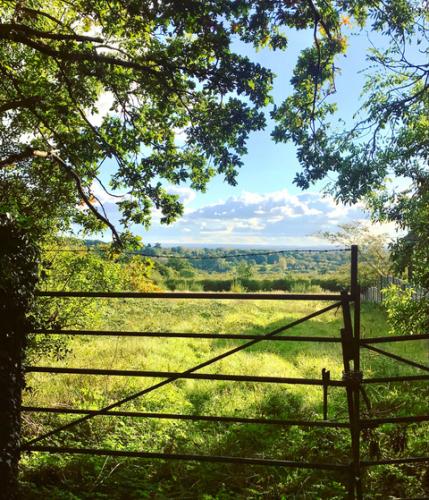 Merry Hill view by Louise Lingwood