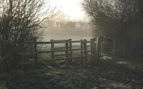 Mist on Merry Hill by John McCormack