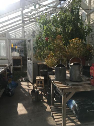 Reveley Lodge Greenhouse by Annie Cooper
