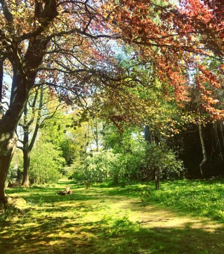 Spring at Reveley by Louise Lingwood