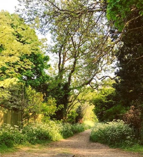 Whomsoever Lane by Louise Lingwood